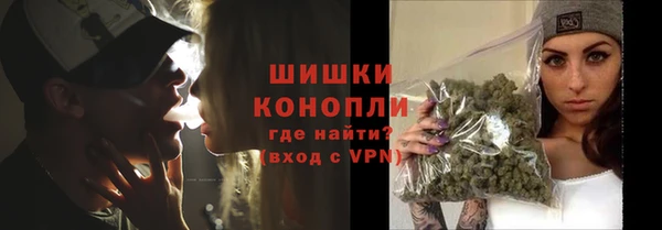 индика Железногорск-Илимский