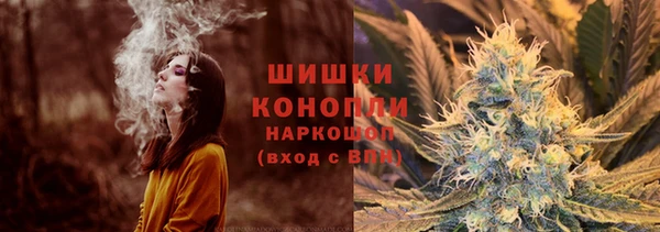 ПСИЛОЦИБИНОВЫЕ ГРИБЫ Россошь